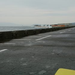 ライトショアジギング