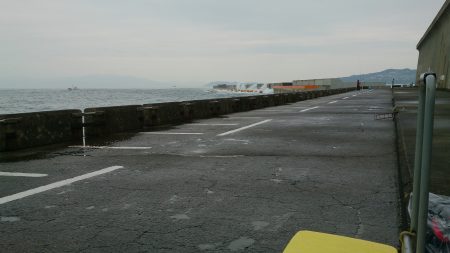 ライトショアジギング