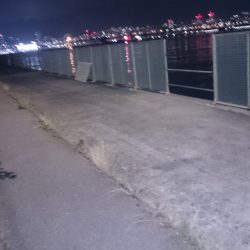 ガシリングなのです