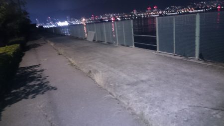 ガシリングなのです