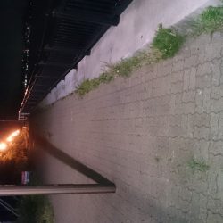 アジングはまだかなー