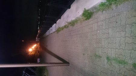 アジングはまだかなー