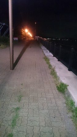 アジングはまだかなー