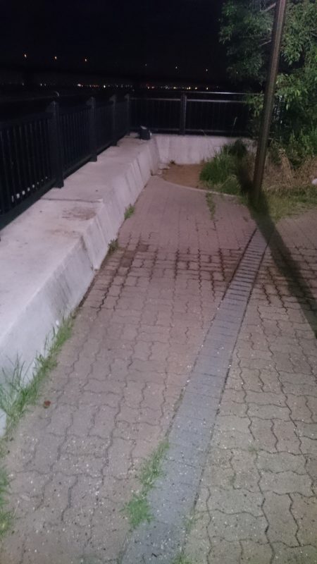 さばはよく引きます