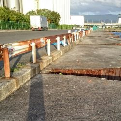 強風のなかサビキ釣り