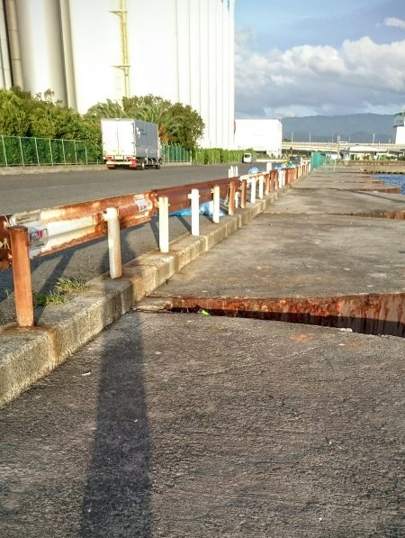 強風のなかサビキ釣り