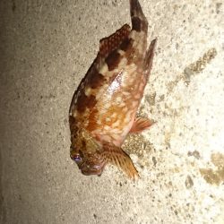 仕事帰りにちょっとだけよー