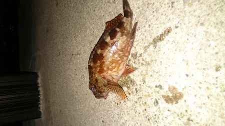 仕事帰りにちょっとだけよー