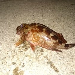 仕事帰りにちょっとだけよー