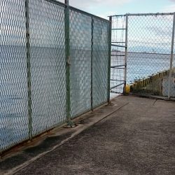 仕事の途中なんですが、、、