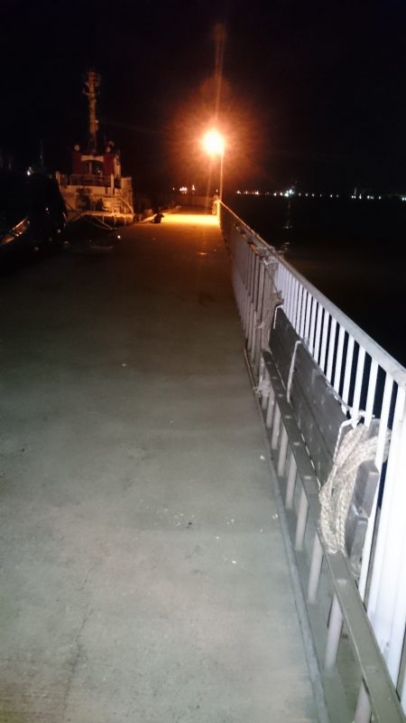 飽きずにやってきました