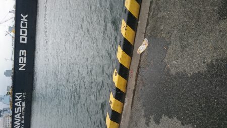 豆アジ沢山 釣れました