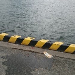 豆アジ沢山 釣れました