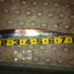 ワインドで指四本