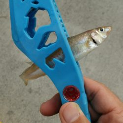 台風後の海の具合を見に♪