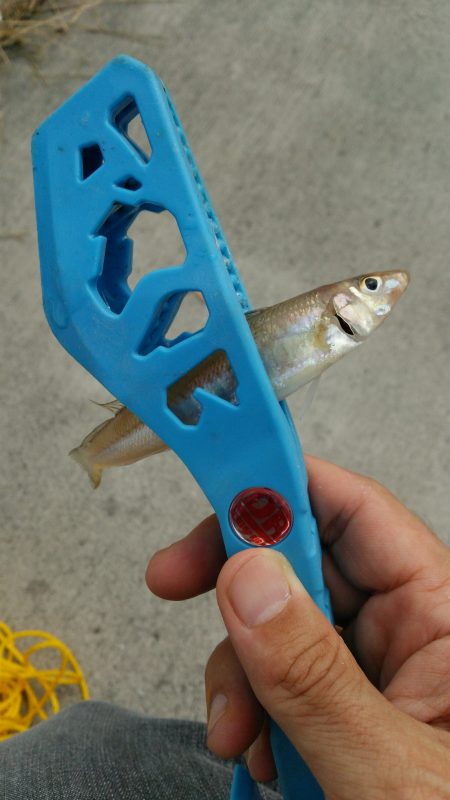 台風後の海の具合を見に♪