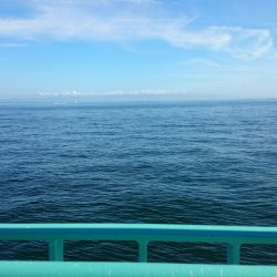 とりあえずツバス