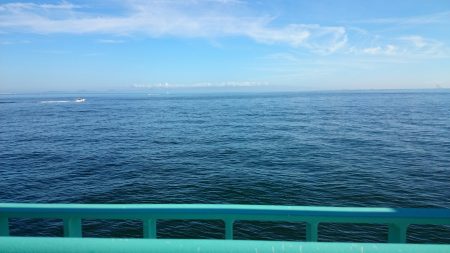 とりあえずツバス