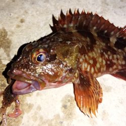 3人寄ればいつも,..