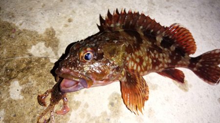 3人寄ればいつも,..