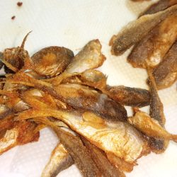 サビキで何とか