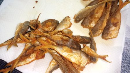 サビキで何とか