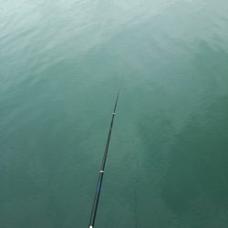 雨上がりは厳しいです♪