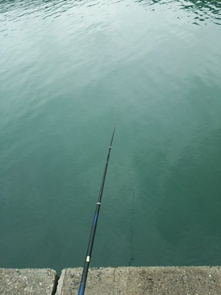 雨上がりは厳しいです♪