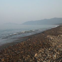 ショアジギング釣行