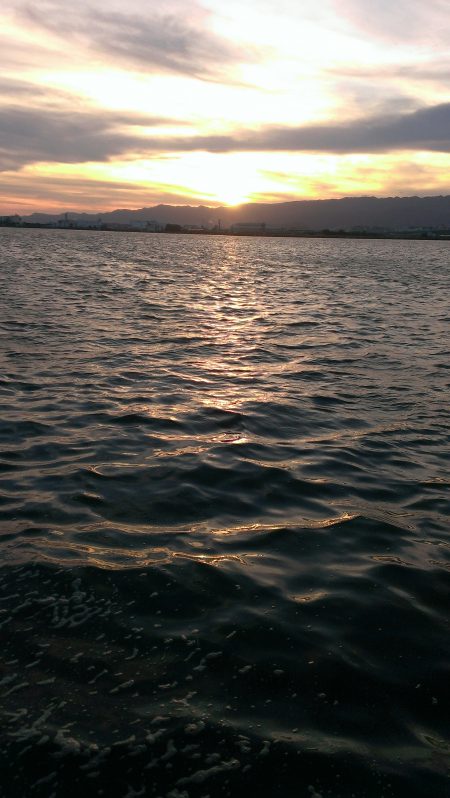 豆アジ釣れだしました