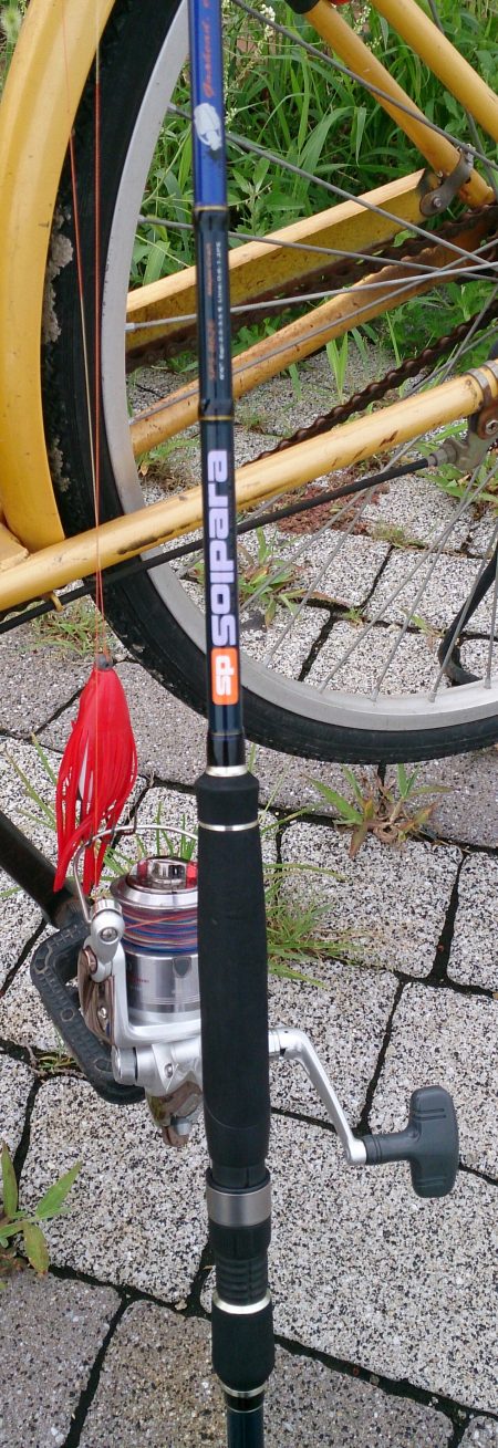 埋め立て地で朝の時合いにタコ