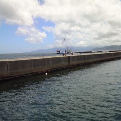 いろいろつれました