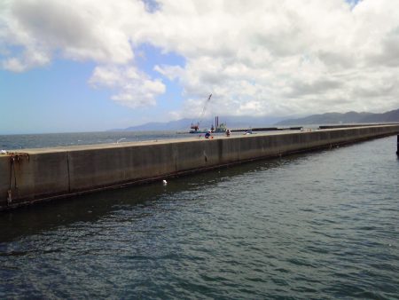 いろいろつれました