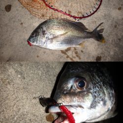 久しぶりにデカかった♪