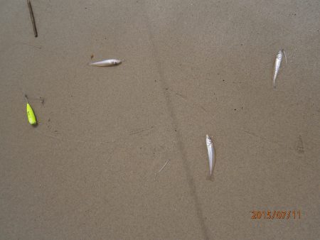 ファミリーチョイ投げ３