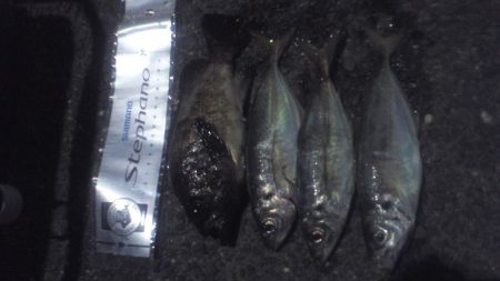 アジが去ったらメバルの出番