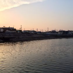 ひきはいいけど…