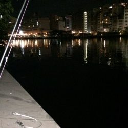 天神橋筋高架下にウナギ釣り