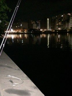 天神橋筋高架下にウナギ釣り