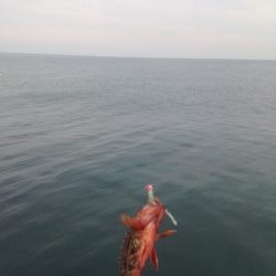 ちょこっとライトゲーム