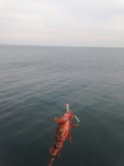 ちょこっとライトゲーム