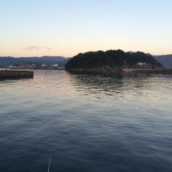 サビキでアジ釣り