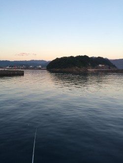 サビキでアジ釣り