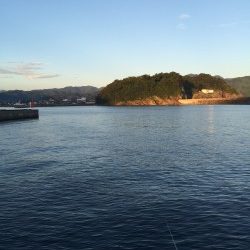 少しだけ楽しめました