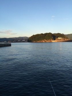 少しだけ楽しめました