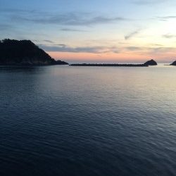 南蛮漬けサイズが多数