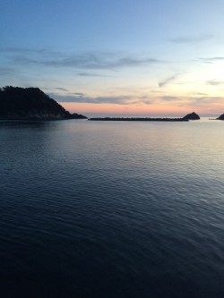 南蛮漬けサイズが多数