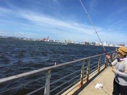 南港ATC近くの海沿いの公園