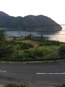 いつでもがしら