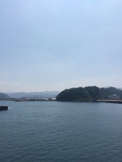 今シーズン３回目のキス釣り